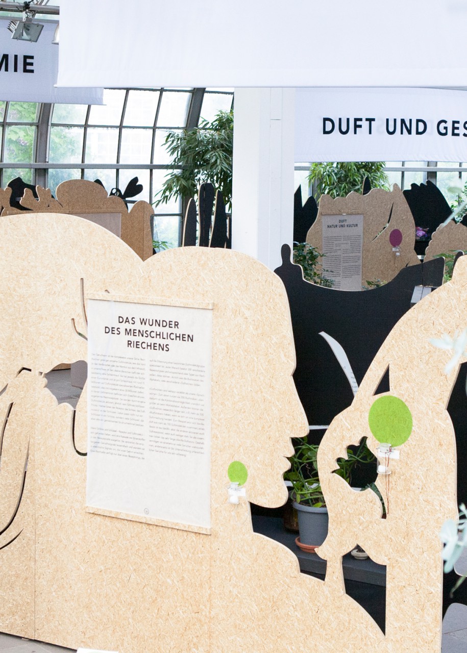 Duft, 2014
